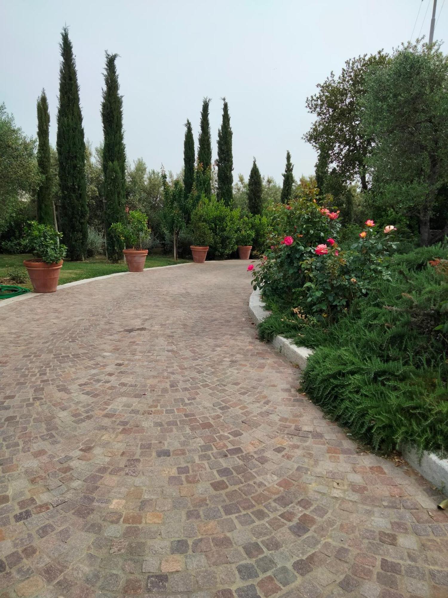 Luxury Spaccasole Su Cortona - Sauna & Infinity Pool *