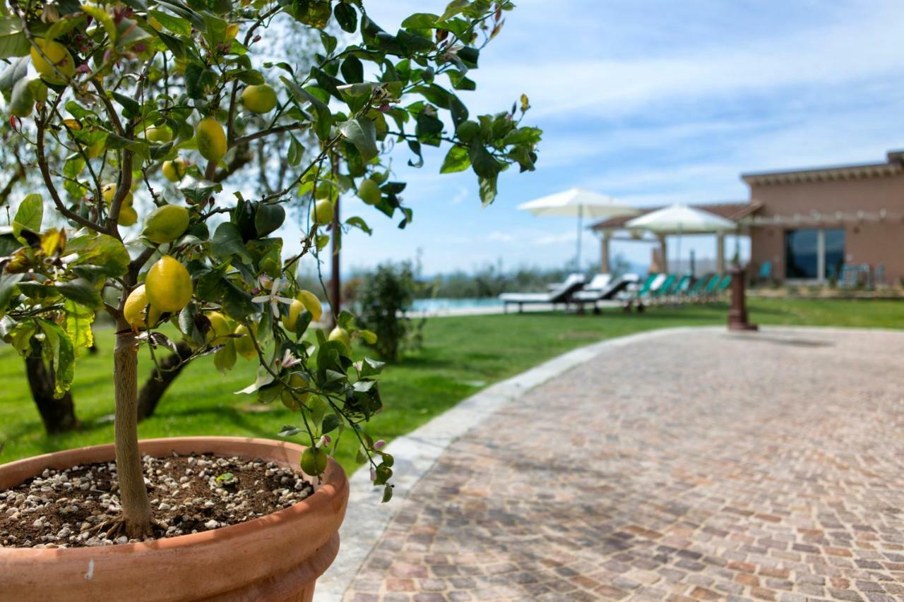 Hébergement de vacances Luxury Spaccasole Su Cortona - Sauna & Infinity Pool Foiano Della Chiana